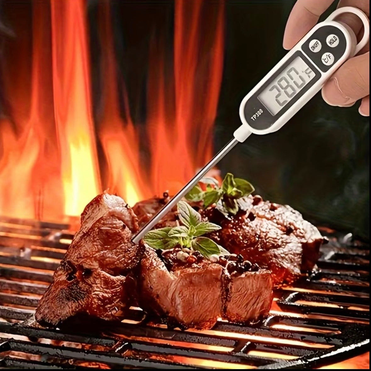 Digital Food Thermometer